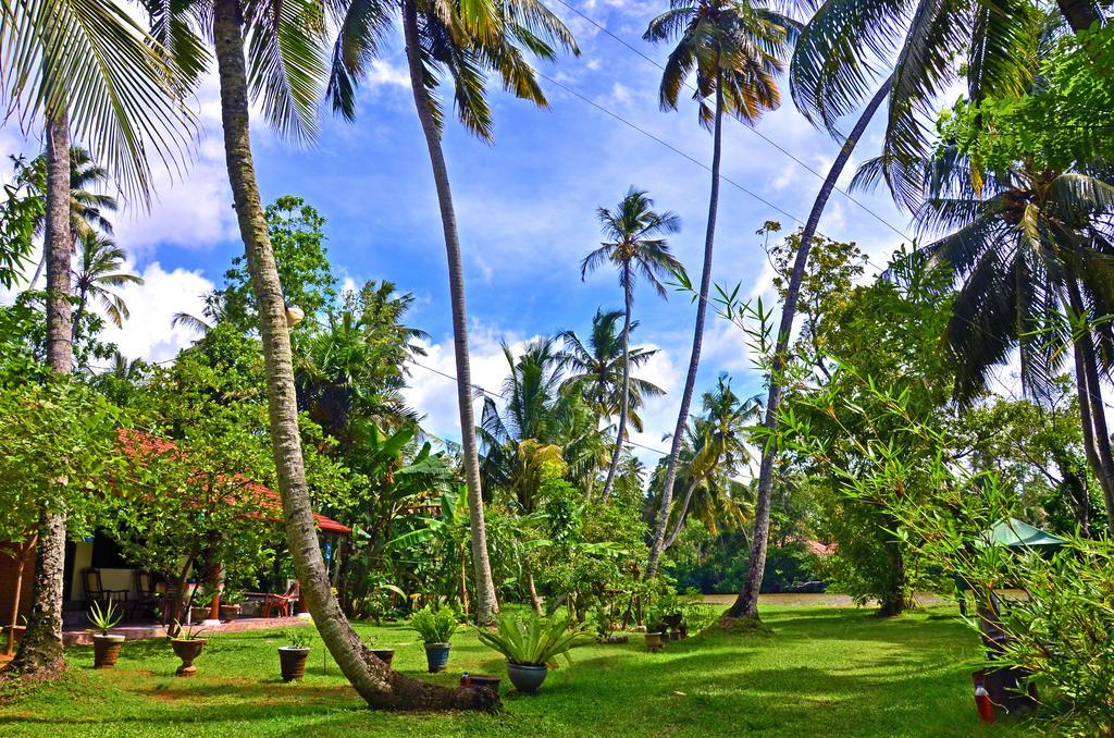 Hotel Aknara Rest Weligama Exteriér fotografie