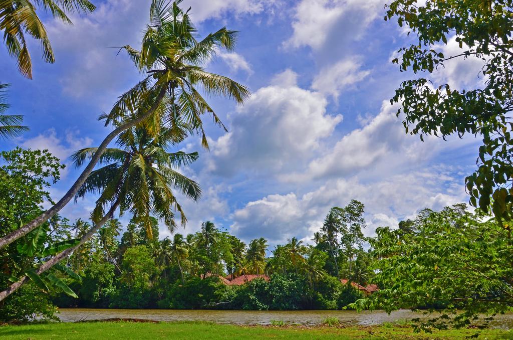 Hotel Aknara Rest Weligama Exteriér fotografie